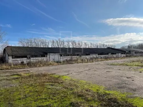 Склад в Тульская область, Веневский муниципальный округ, пос. ...