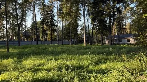 Продается участок в ДНТ Зеленая Роща