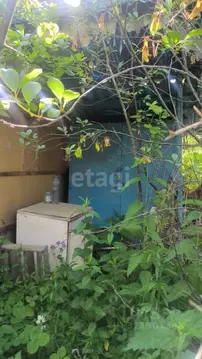 Участок в Брянская область, Брянск Надежда садоводческое товарищество, ...