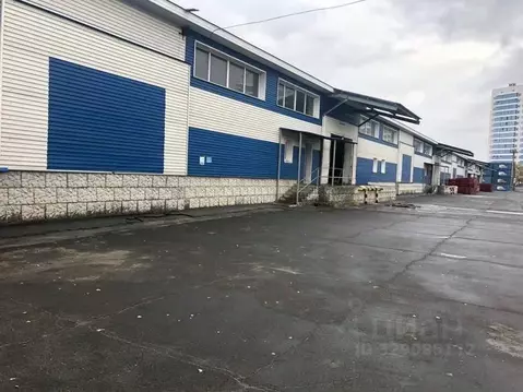 Офис в Новосибирская область, Новосибирск Толмачевское ш., 1к2 (16 м)