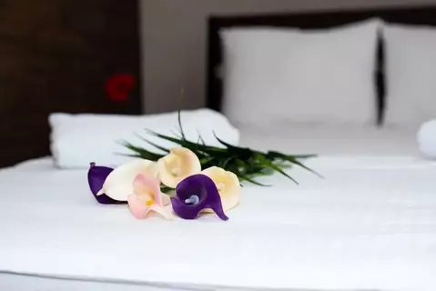 Комната Татарстан, Казань Лево-Булачная ул., 24/20