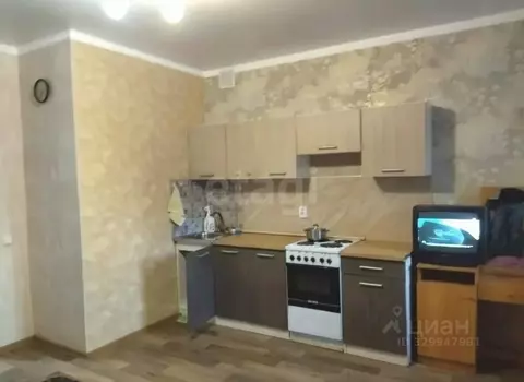 Студия Башкортостан, Стерлитамак просп. Октября, 95 (26.4 м)