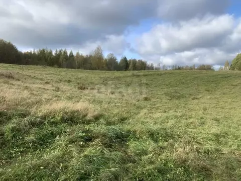 Участок в Ленинградская область, Выборгский район, Полянское с/пос, ...