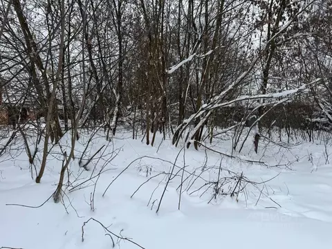 Участок в Московская область, Старая Купавна Богородский городской ...