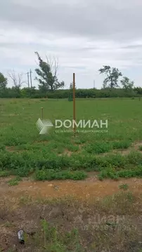 Участок в Ростовская область, Багаевское с/пос, Бенелюкс СНТ 16 (8.0 ...