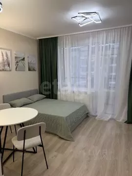 Студия Санкт-Петербург пос. Шушары, ул. Нины Петровой, 7к1 (29.0 м)