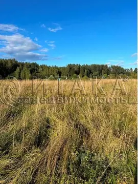 Участок в Ленинградская область, Выборгский район, пос. Селезнево  ...