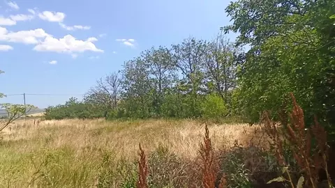 Участок в Крым, Кировский район, Первомайское с/пос, с. Ключевое ул. ...