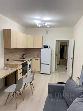 Студия Санкт-Петербург ул. Виктора Конецкого, 5 (24.8 м)