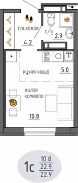 Студия Пермский край, Пермь Ижевская ул., 38 (22.9 м)