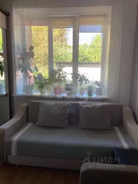 Студия Красноярский край, Красноярск ул. Академика Киренского, 9а ...