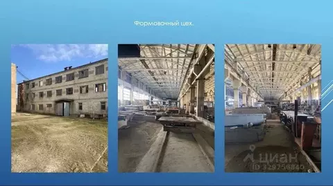 Производственное помещение в Брянская область, Клинцы ул. Ногина, 9 ...