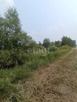 Участок в Амурская область, Благовещенск Весна СТ,  (11.9 сот.)