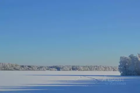 Участок в Ленинградская область, Выборгский район, Полянское с/пос, ...