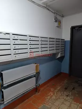 1-к кв. Пензенская область, Пенза просп. Строителей, 77 (34.5 м)