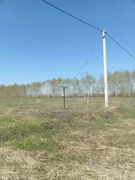 Участок в Тамбовская область, Тамбовский муниципальный округ, д. ...