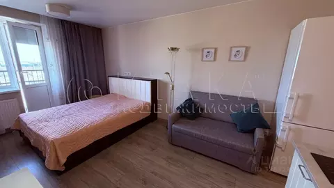 1-к кв. Санкт-Петербург пос. Шушары, Школьная ул., 6к2 (26.1 м)