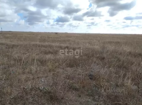 Участок в Крым, Сакский район, Уютненское с/пос, ОСК Союз-2004 тер. ...