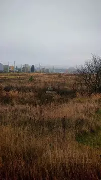 Участок в Воронежская область, Рамонский район, с. Новоживотинное ул. ...