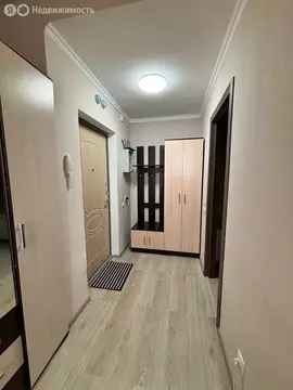 Квартира-студия: Санкт-Петербург, Парашютная улица, 36к1 (25.9 м)
