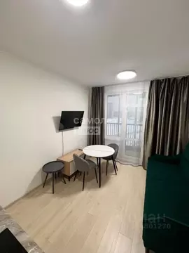 Студия Санкт-Петербург аллея Арцеуловская, 9 (22.0 м)