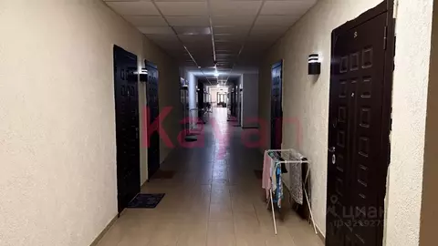 Помещение свободного назначения в Краснодарский край, Геленджик ...