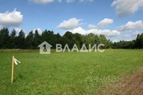 Участок в Ленинградская область, Ломоносовский район, Русско-Высоцкое ...
