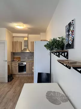 1-к кв. Санкт-Петербург Северный просп., 123к1 (32.0 м)