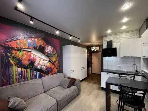 Студия Санкт-Петербург ул. Оптиков, 37 (29.0 м)