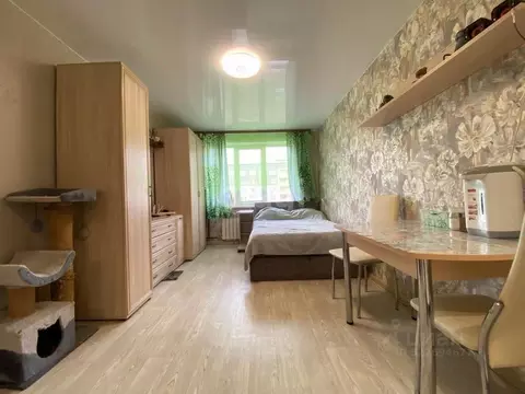 Студия Кемеровская область, Кемерово ул. Ворошилова, 40 (22.4 м)