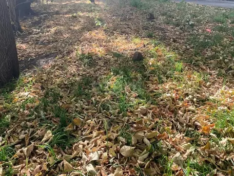 Участок в Амурская область, Благовещенск пос. Моховая Падь, Луч тер., ...