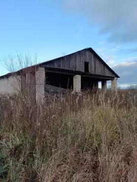 Помещение свободного назначения в Кировская область, Юрьянский район, ...