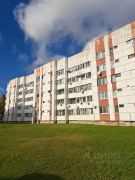 3-к кв. Ленинградская область, Кировский район, Приладожский городской ...