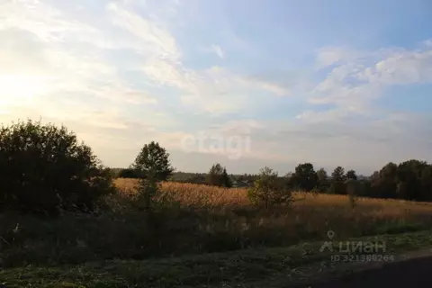 Участок в Псковская область, Пушкиногорье городское поселение, ...