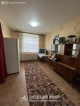 1-комнатная квартира: Бор, Лесная улица, 1 (27.1 м)