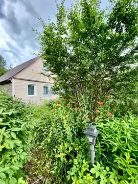 Дом в Москва Исток СНТ, 33 (50 м)