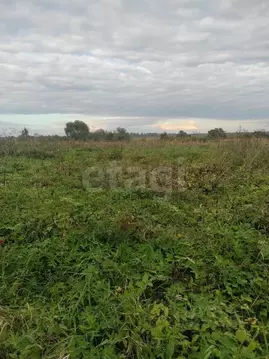 Участок в Псковская область, Порховский муниципальный округ, д. ...