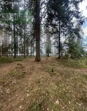 Участок в Всеволожск, микрорайон Сельхозколледж (40 м)