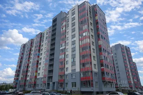 Студия Ленинградская область, Всеволожский район, Заневское городское ...