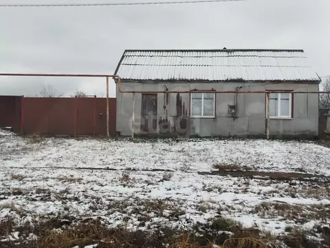 Дом в Воронежская область, Борисоглебский городской округ, с. Тюковка ...