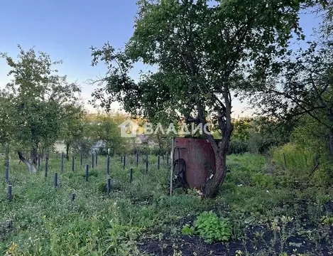 Участок в Пензенская область, Пенза Золотая Осень садовое дачное ...