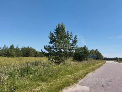 Участок в Владимирская область, Селивановский муниципальный округ, ...