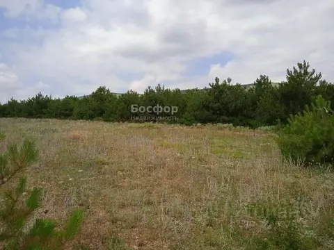 Участок в Крым, Кировский район, Старый Крым городское поселение ул. ...