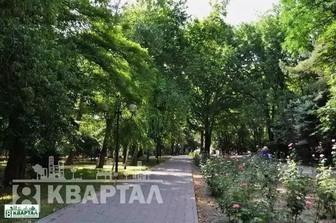 Участок в Краснодарский край, Новороссийск Баклан СНТ, ул. Спортивная ...