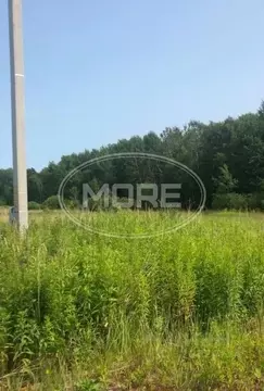 Участок в Калининградская область, Гурьевский муниципальный округ, ...