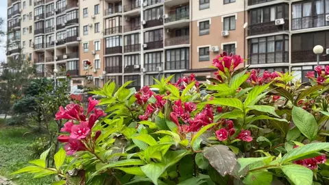 2-к кв. Краснодарский край, Анапа Таманская ул., 24 (105.0 м)