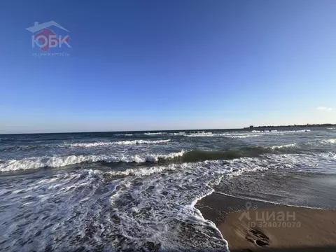 Участок в Крым, Сакский район, Молочненское с/пос, с. Витино  (8.9 ...