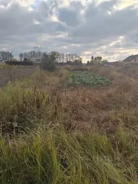 Участок в Брянская область, Брянский район, Отрадненское с/пос, с. ...