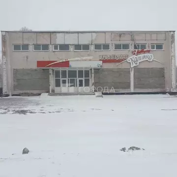 Помещение свободного назначения в Алтайский край, Алейск Партизанская ...