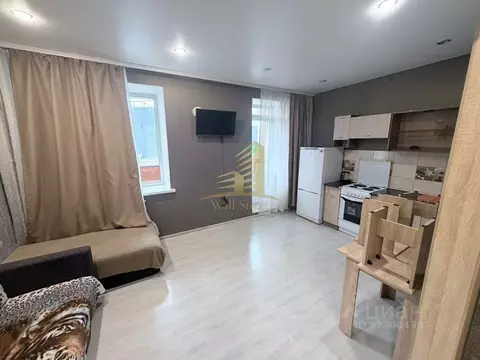 Студия Новосибирская область, Новосибирск ул. Юности, 1 (24.8 м)